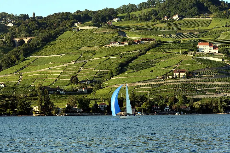 Lake Geneva and Montreux