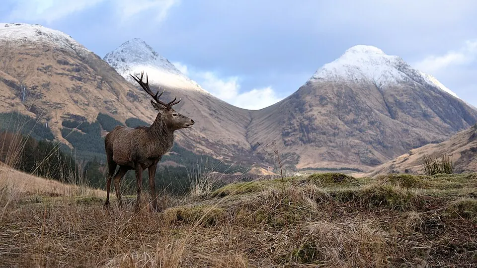 Glen Etive